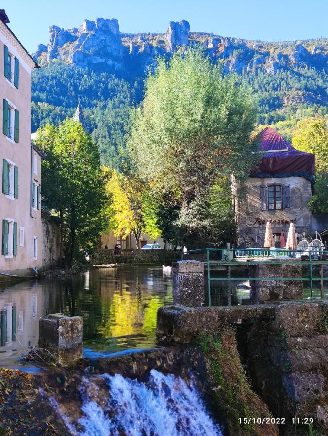 Grand Appartement De Charme Avec Parking Prive Florac Εξωτερικό φωτογραφία